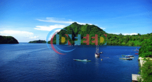 IDNFeed (3)