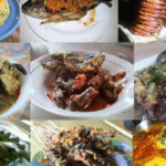 IDNFeed