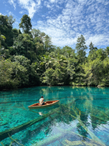 artikel danau paisupok 1