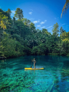 artikel danau paisupok 2